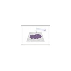 PERMANGANATE STAINING TEST